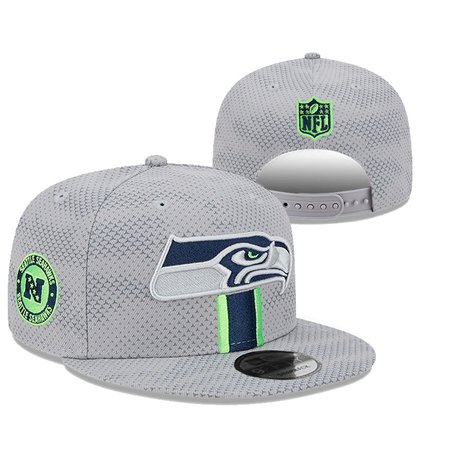 Seattle Seahawks Snapback Hat