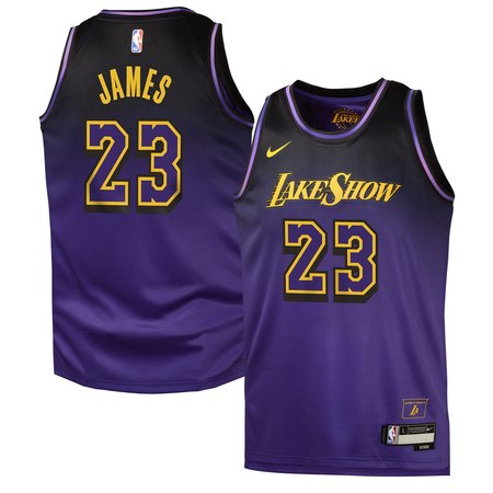 Youth Los Angeles Lakers LeBron James Nike Purple 2024/25 Swingman Player Jersey - City Edition